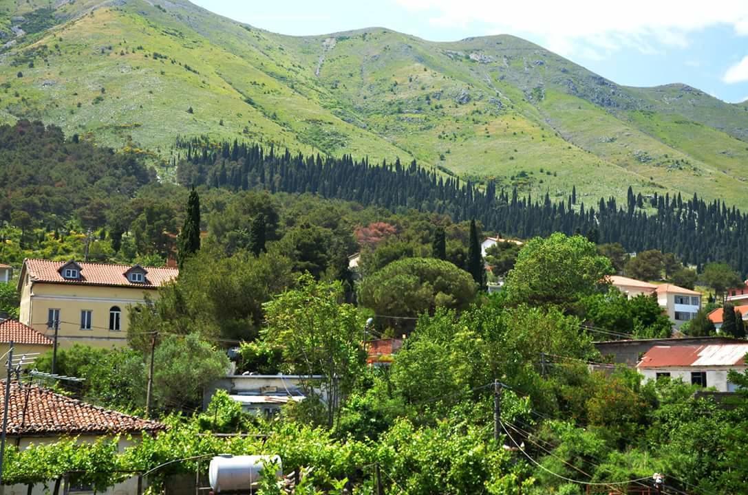 Hotel Shkodra Lake Shiroka ภายนอก รูปภาพ